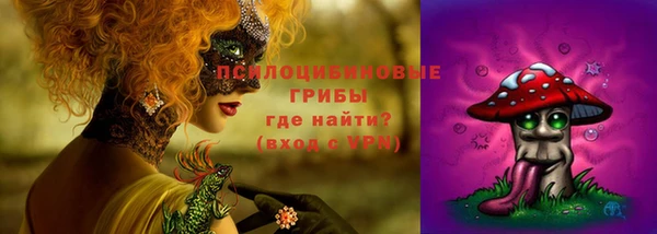 PSILOCYBIN Абинск