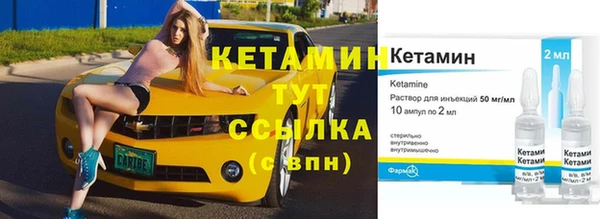 гидра Абаза