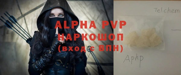 гидра Абаза