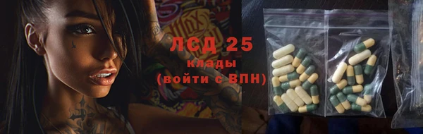 гидра Абаза